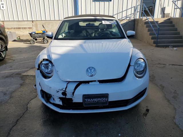 Volkswagen Beetle Image 12