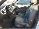 Volkswagen Beetle Image 11