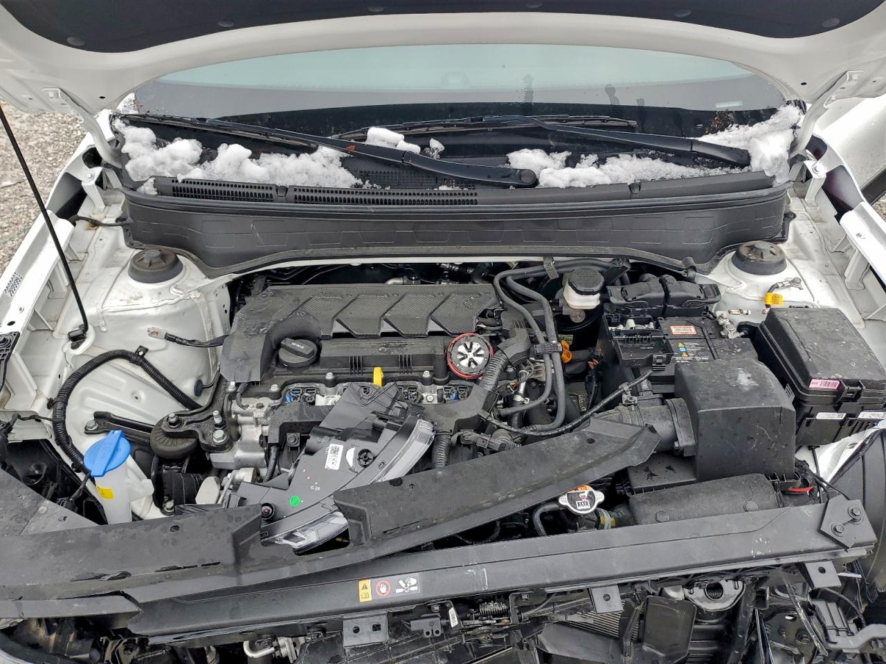 Hyundai VENUE Sel Image 5