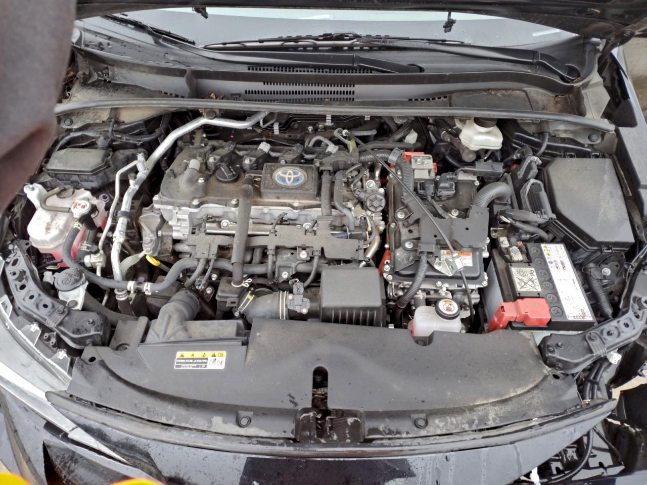 Toyota Corolla Le Image 10